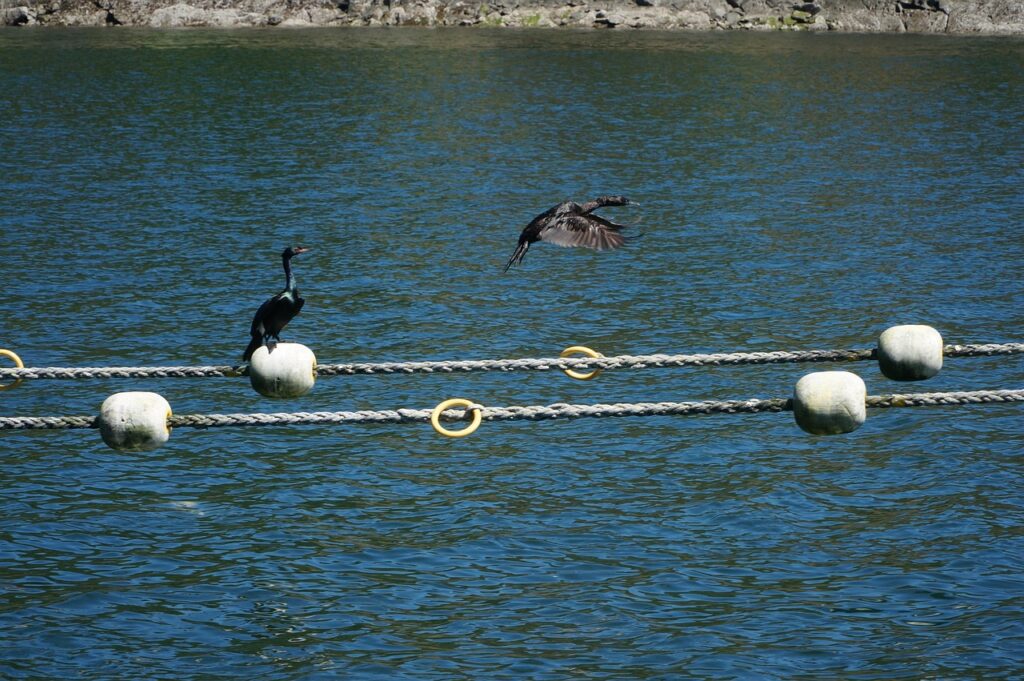 30代未経験のSEは何歳まで転職可能なのか？