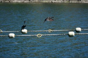 30代未経験のSEは何歳まで転職可能なのか？