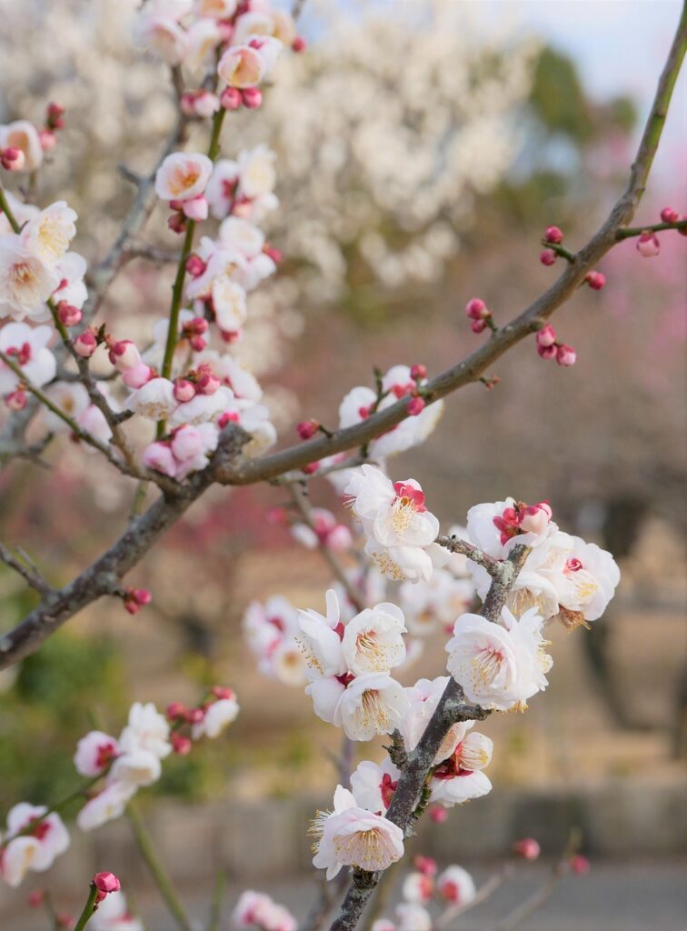 sql未経験者が最初に学ぶべき基本知識は？