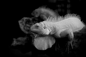 it事務とはどのような業務を指すのか？