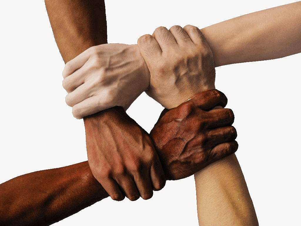 システムサポートの将来性について知っておくべきポイントは？