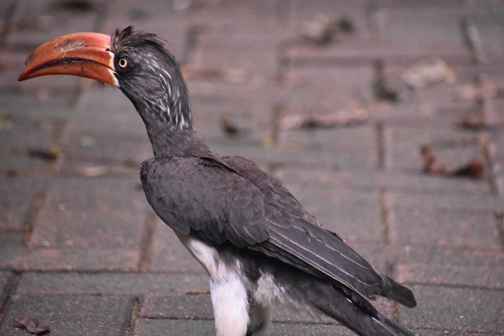 automate the boring stuff udemyで学ぶプログラミングの魅力とは？