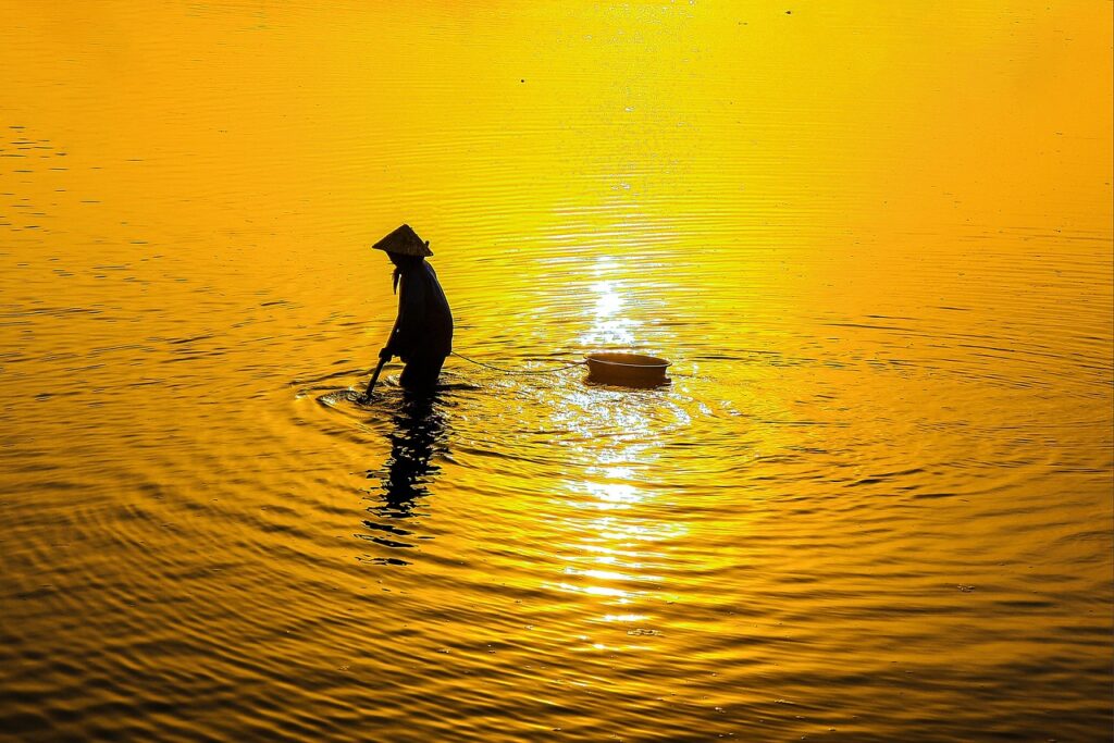 it事務職とはどのような仕事で、求められるスキルは何ですか？
