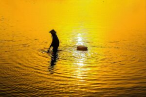 it事務職とはどのような仕事で、求められるスキルは何ですか？